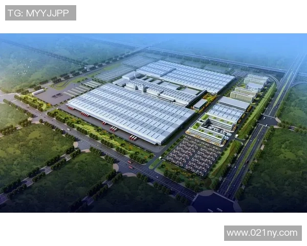 火箭队夏窗首日大举引援背后暗藏战略布局与未来规划